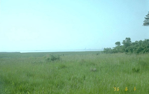 Moderately Polluted and Hazy: