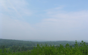 Very Polluted and Hazy
