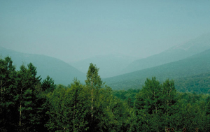 Very Polluted and Hazy