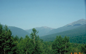 Moderately Polluted and Hazy: