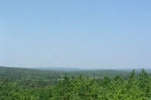 Moosehorn: Hazy Polluted Day