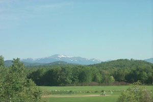 Mt. Washington: Clear Day, May 25, 2001