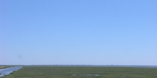 East View